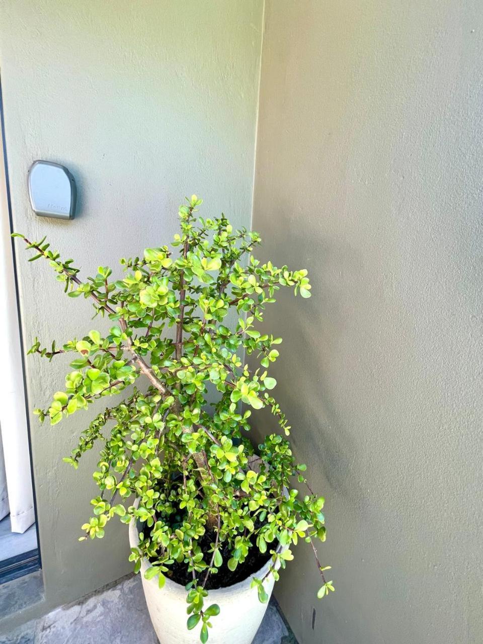 Appartamento Tehillah On Boom Bothasig Esterno foto